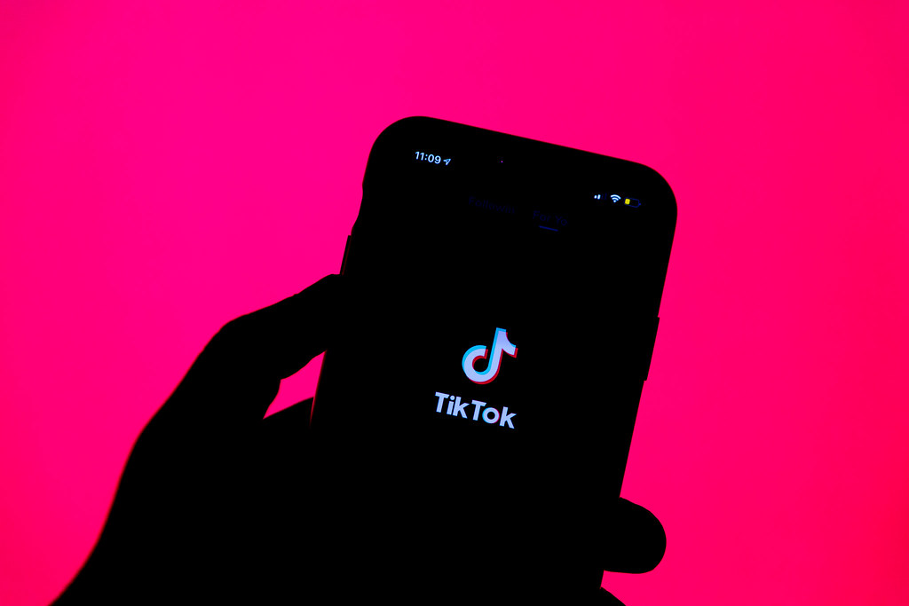 Bordeaux: apology for terrorism on TikTok, an Afghan convicted